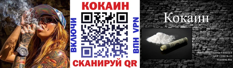 Купить закладки  Котлас  COCAIN 97% 