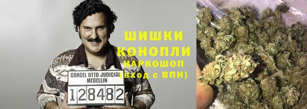 сатива Балабаново