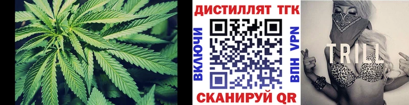 ТГК концентрат  Купить закладки  Котлас 