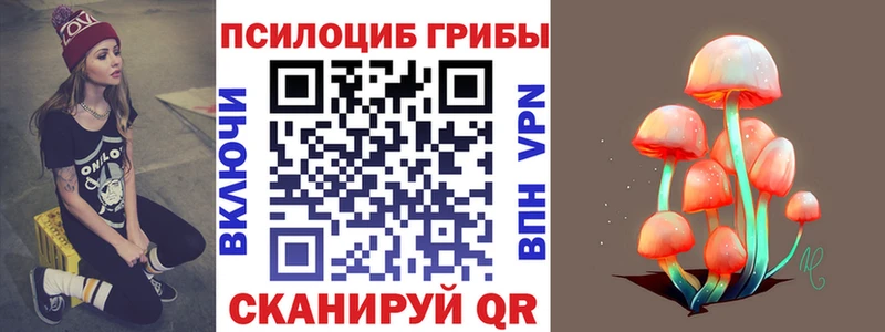 Купить закладки  Котлас  Псилоцибиновые грибы Magic Shrooms 