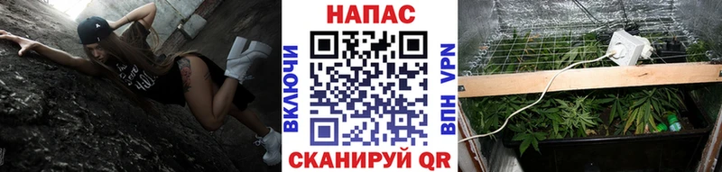 Шишки марихуана тримм  Купить закладки  Котлас 